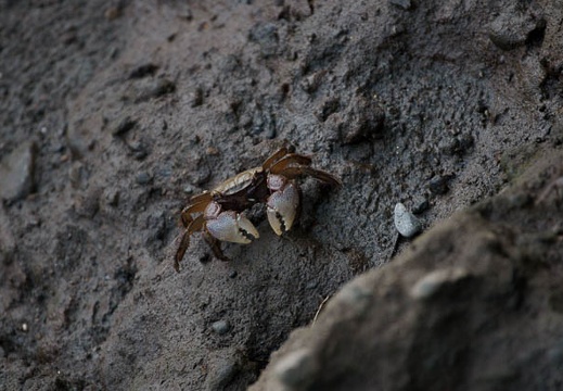 200908300723-DSC01564.jpg