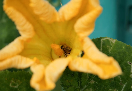 200908300750-DSC01628.jpg