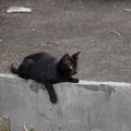 200908300812-DSC01649.jpg