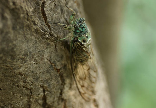 200909051051-DSC01998.jpg