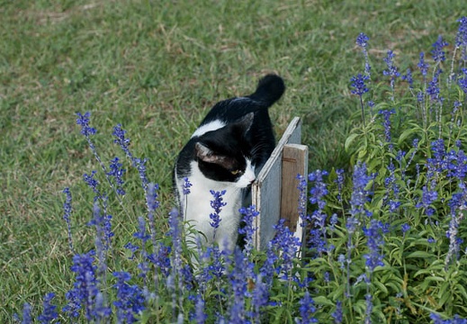 200909070741-DSC02480.jpg