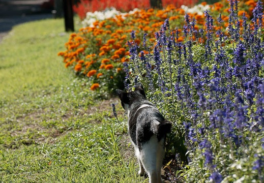 200909070742-DSC02490.jpg