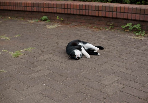 200909230752-DSC02992.jpg