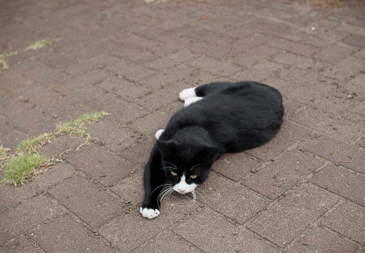 200909230753-DSC02995.jpg