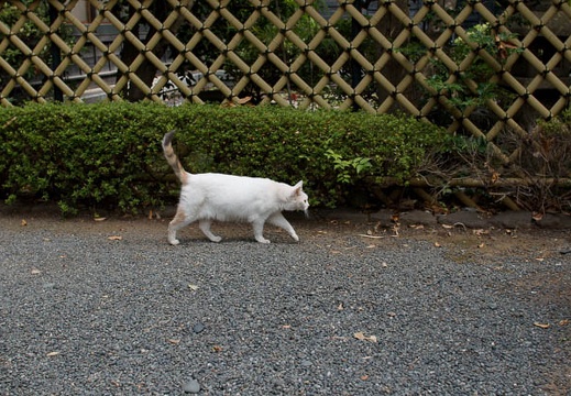 200909230902-DSC03050.jpg