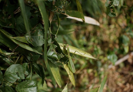 200909231010-DSC03162.jpg