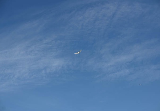 200909240809-DSC03291.jpg