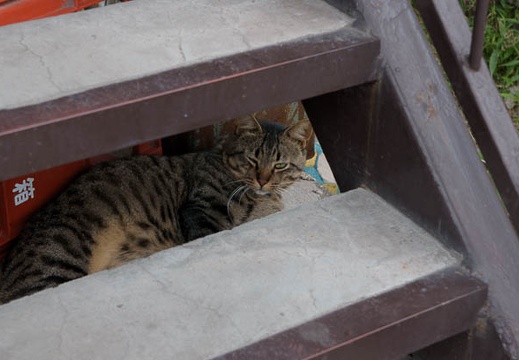 200909270749-DSC03439.jpg