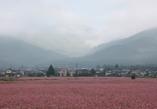 200910040654-DSC03853.jpg