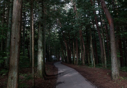200910040731-DSC03886.jpg