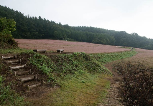 200910040750-DSC03910.jpg