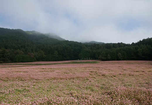 200910040809-DSC03937.jpg