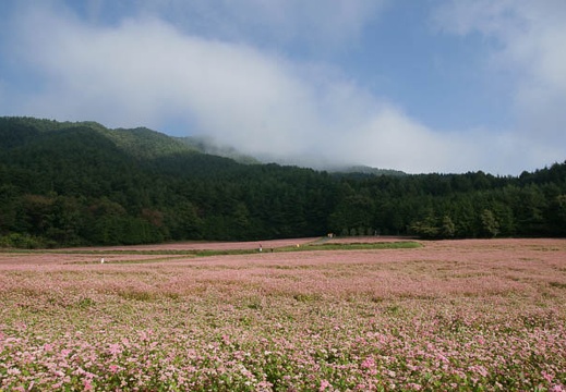 200910040814-DSC03951.jpg
