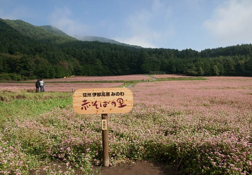 200910040817-DSC03957.jpg