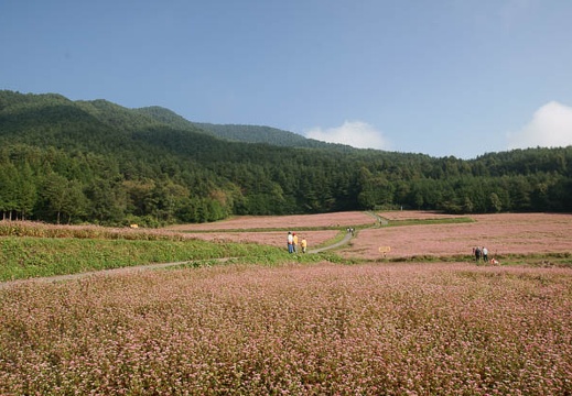 200910040821-DSC03969.jpg