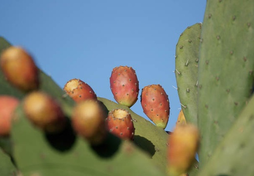 200910081559-DSC04688.jpg