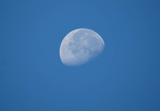 200910090705-DSC04791.jpg