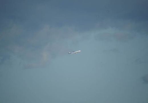 200910090706-DSC04792.jpg
