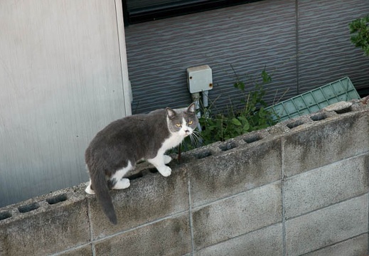200910101402-DSC05423.jpg
