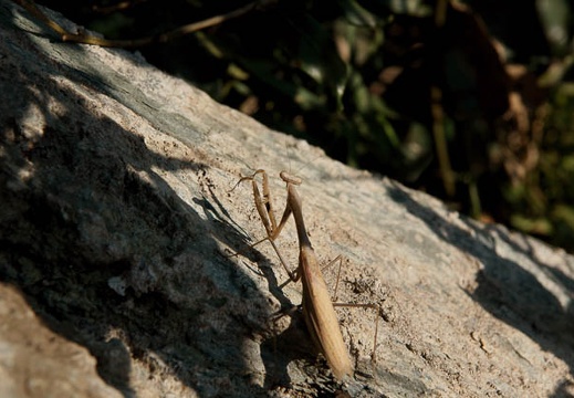 200910101503-DSC05513.jpg