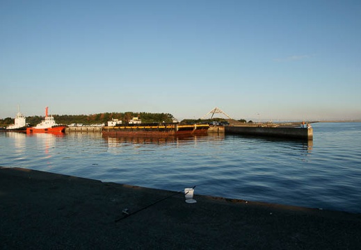 200910110621-DSC05593.jpg