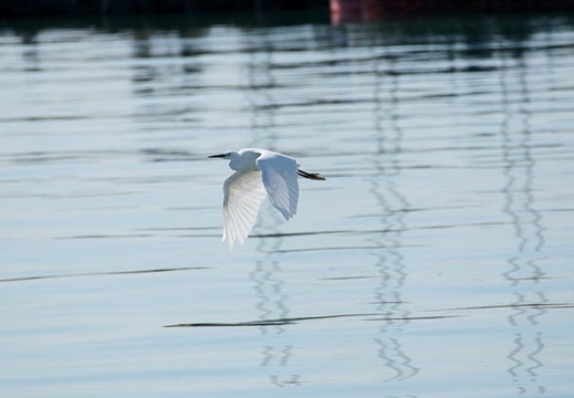 200910110930-DSC05853.jpg