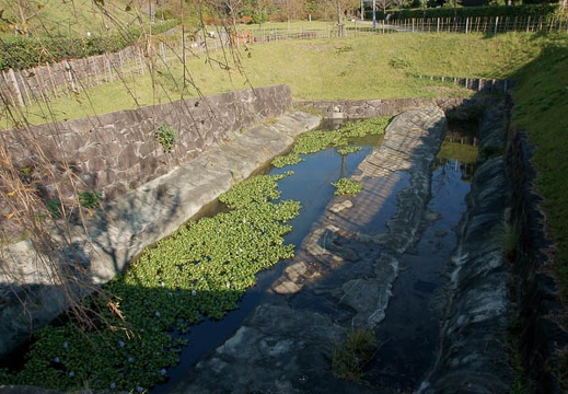 200910130804-DSC06421.jpg