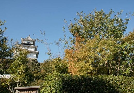 200910130809-DSC06432.jpg
