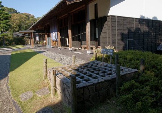 200910130812-DSC06440.jpg