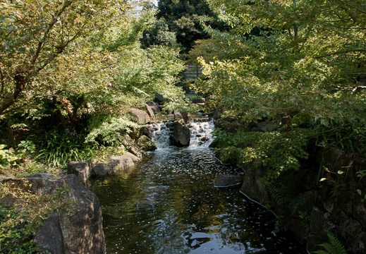 200910141143-DSC07028.jpg