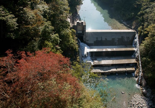 200910150849-DSC07328.jpg