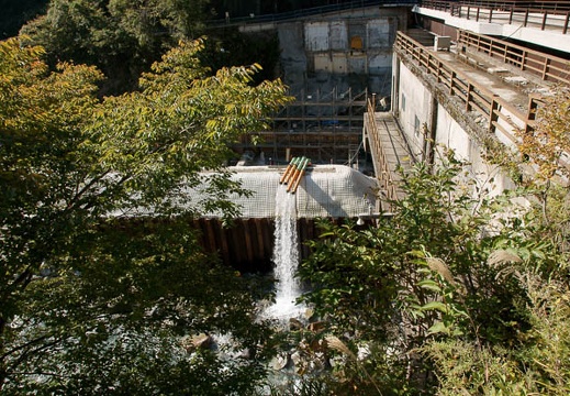 200910150907-DSC07345.jpg
