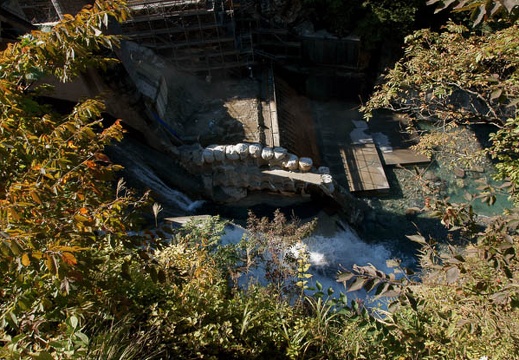 200910150907-DSC07347.jpg