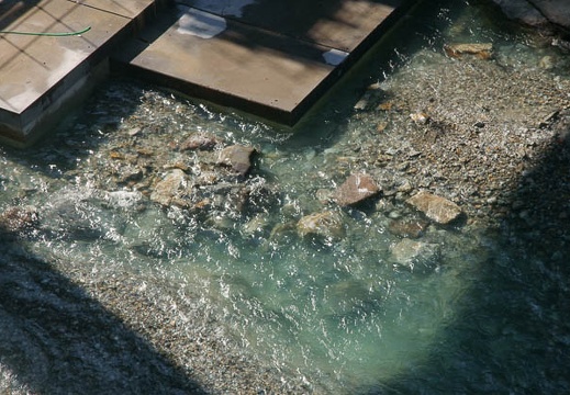 200910150910-DSC07354.jpg