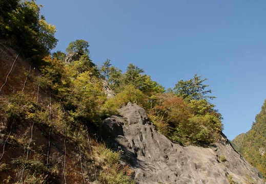 200910150930-DSC07381.jpg
