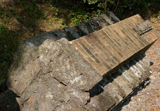 200910161132-DSC07890.jpg