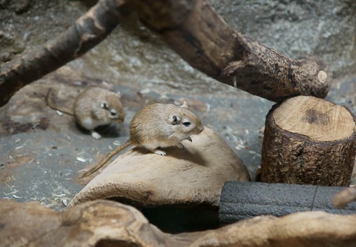 200910180906-DSC08331.jpg