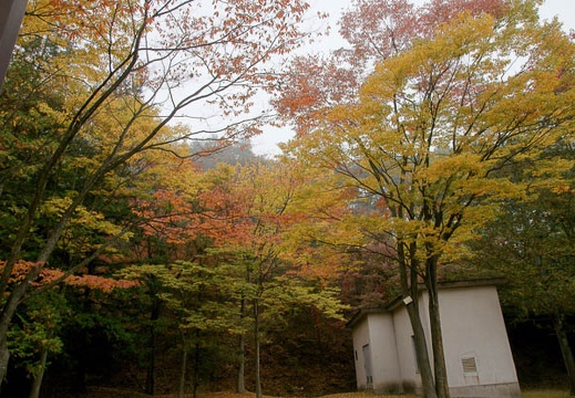 200910240657-DSC09656.jpg