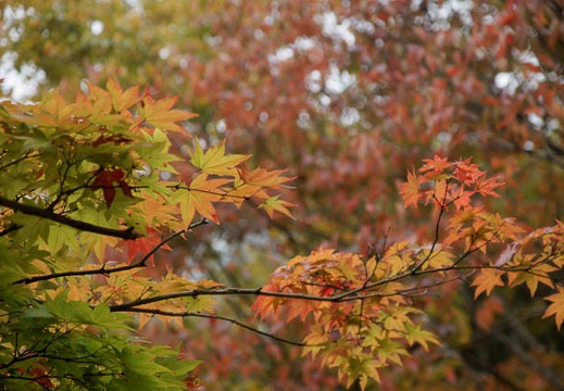 200910240658-DSC09657.jpg