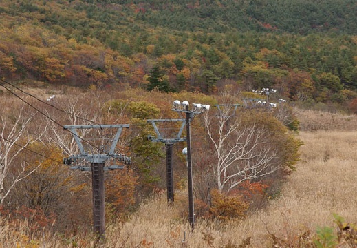 200910240830-DSC09708.jpg