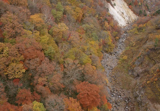 200910240839-DSC09716.jpg