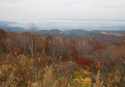 200910240842-DSC09728.jpg