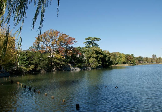 200910271022-DSC09859.jpg