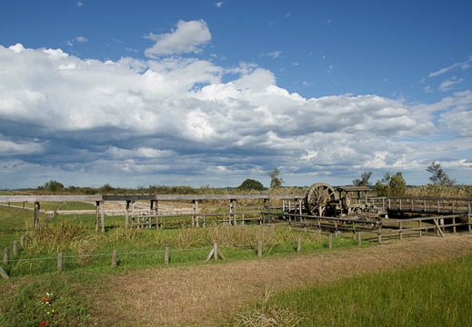 200910271319-DSC00029.jpg
