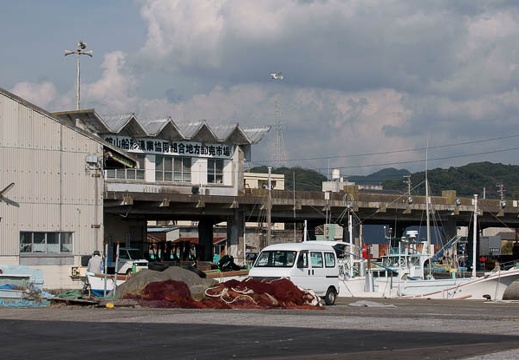 200911091326-DSC01467.jpg