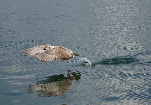 200911091359-DSC01613.jpg
