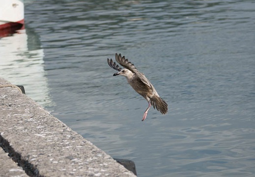 200911091359-DSC01616.jpg