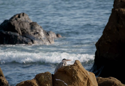 200911091444-DSC01643.jpg