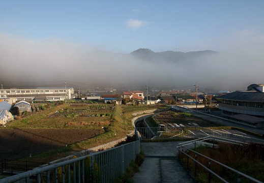200911210751-DSC01869.jpg
