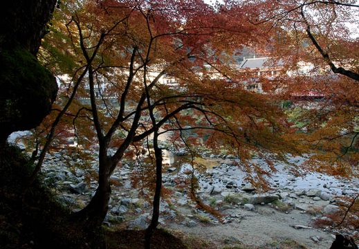 200911210835-DSC01887.jpg